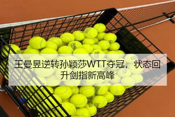 wang-man-yu-ni-zhuan-sun-ying-sha-duo-guan-zhuang-tai-hui-sheng-jian-zhi-xin-gao-feng-3-908.jpg