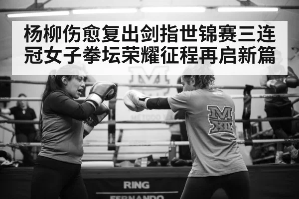 杨柳伤愈复出剑指世锦赛三连冠女子拳坛荣耀征程再启新篇